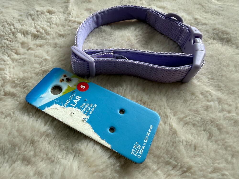Vibrant Life Purple Small Nylon Dog Collar NWT